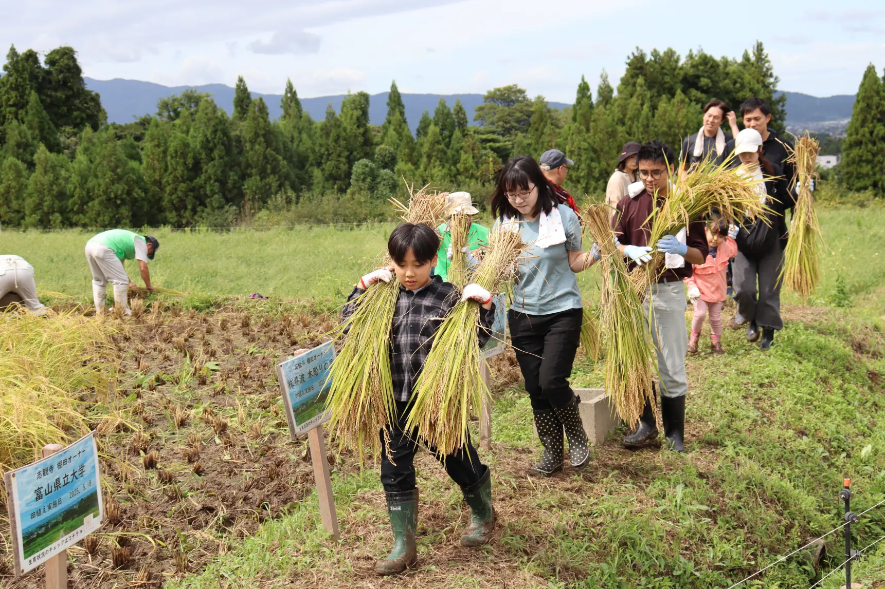 ②【2026年9月20日(日)開催予定】稲刈り体験  ザクッと一束、秋の手仕事に夢中になる日-1