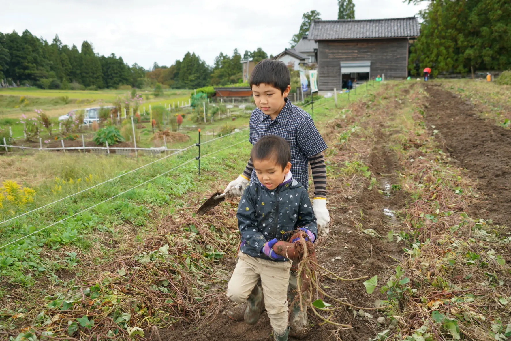 ③【2026年10月18日(日)開催予定】ねっとり極甘！志観寺のサツマイモを掘って食べよう-3