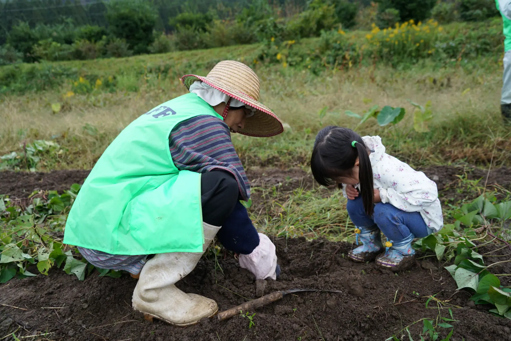 ③【2026年10月18日(日)開催予定】ねっとり極甘！志観寺のサツマイモを掘って食べよう-2