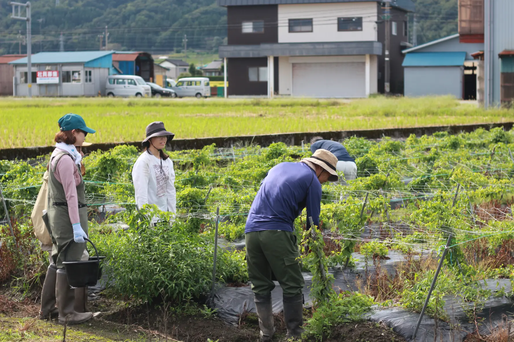 初めての方でも安心のポイント-0