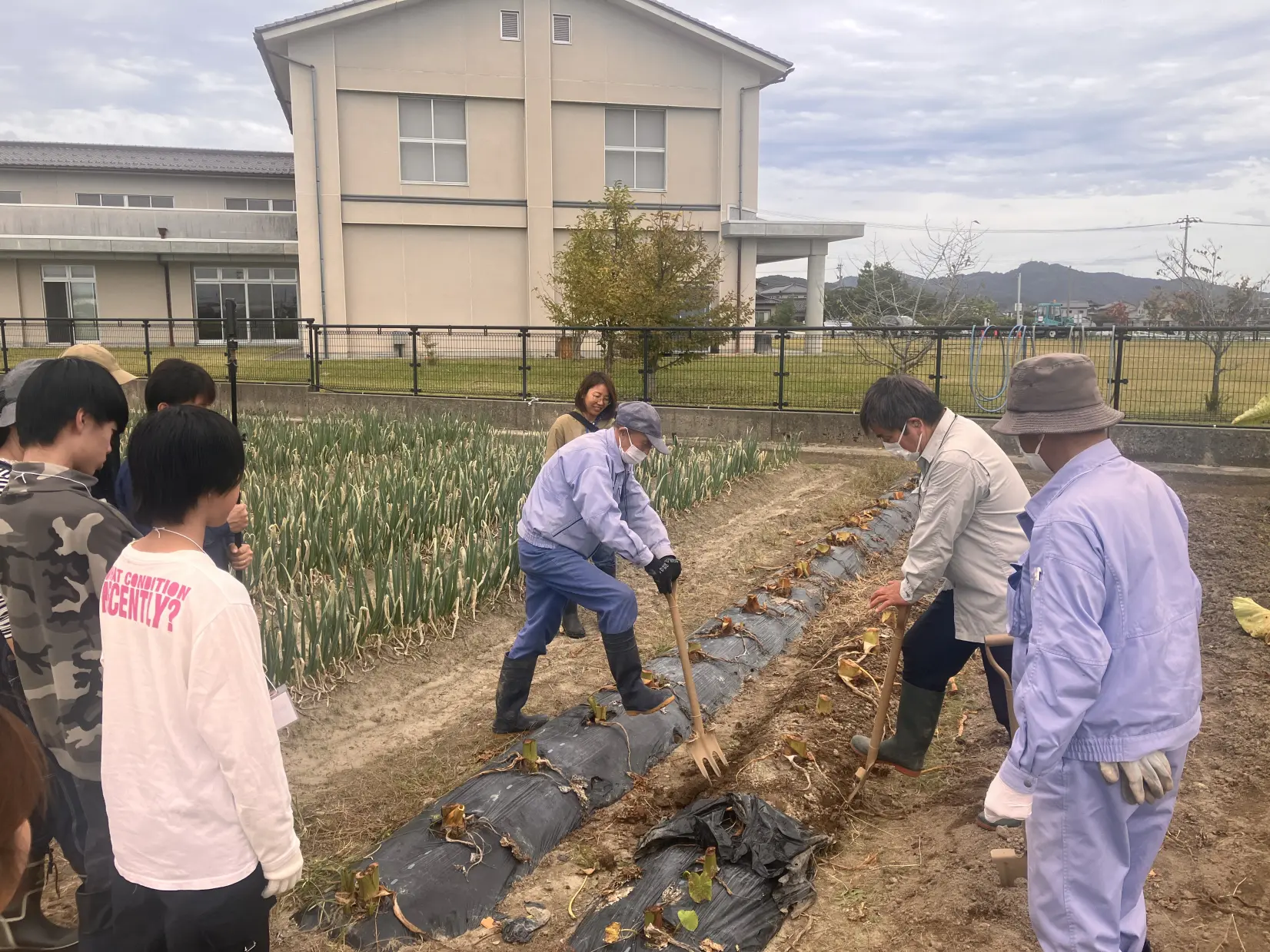 【1日目】農家の知恵に触れる、里芋掘り体験-0