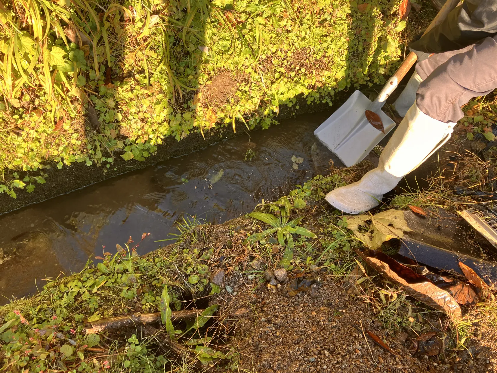 小院瀬見（こいんぜみ）の活動の様子-1
