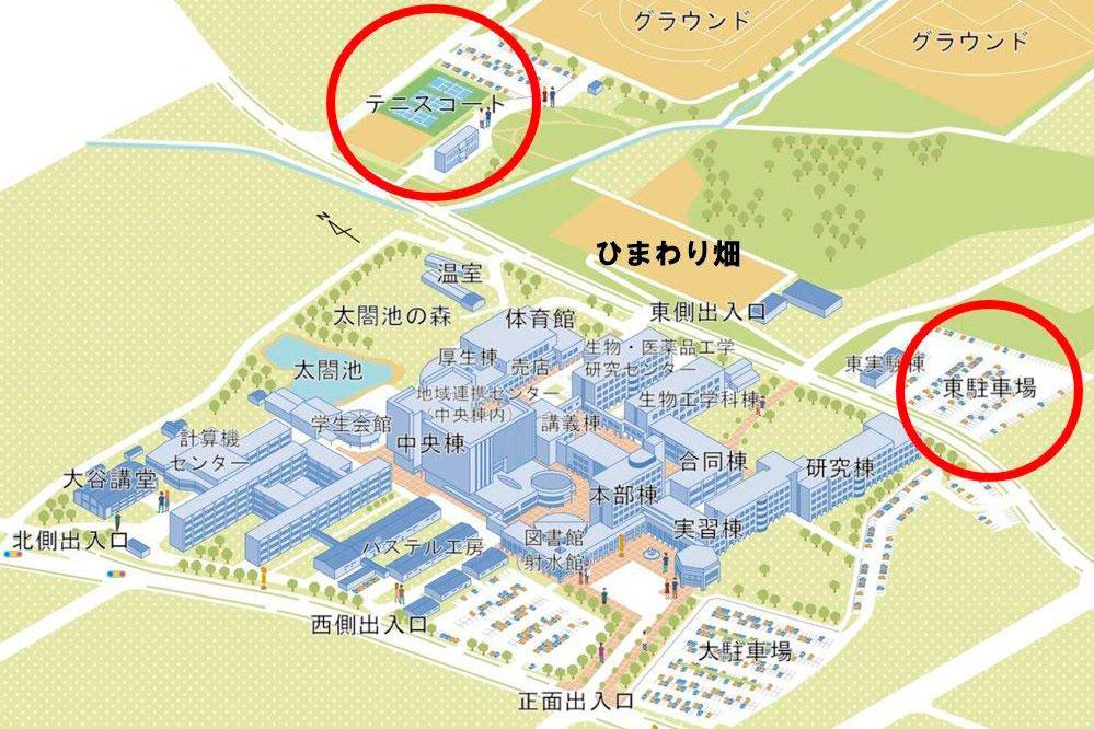 巨大なひまわり迷路が特徴｜富山県立大学（射水市）-2