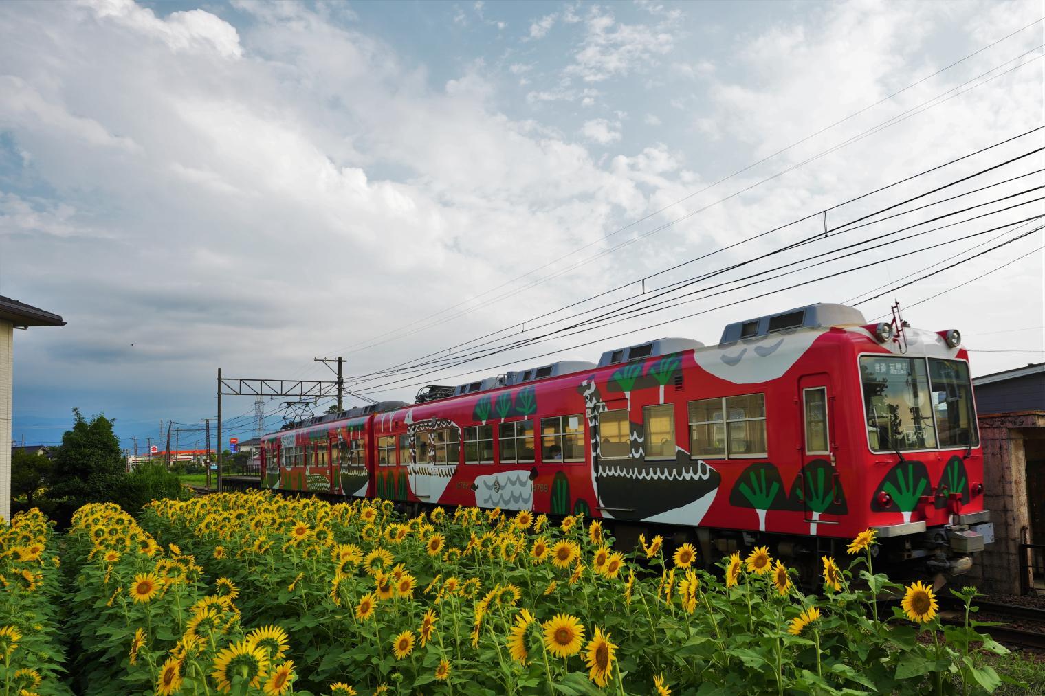 立山と電車とひまわりの三重奏｜富山地方鉄道上滝線沿い（富山市）-0