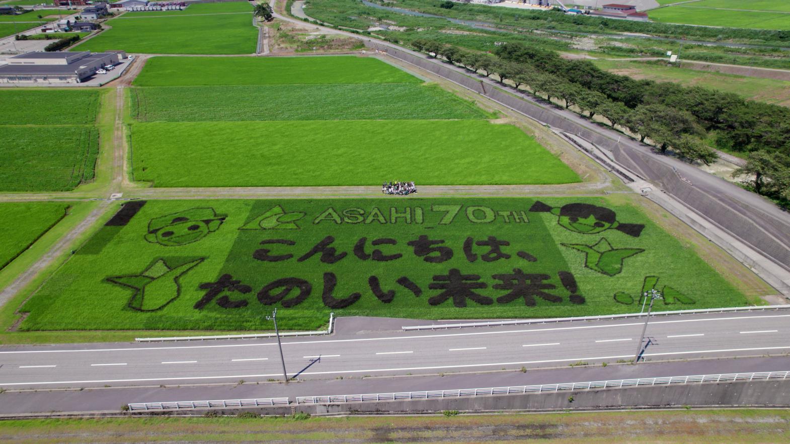 春の四重奏の地域に咲く夏のひまわり｜舟川べり（朝日町）-2
