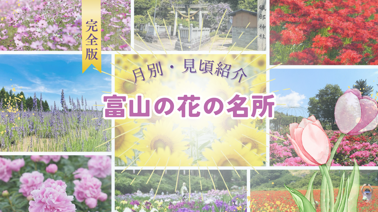 【完全版】富山の花の名所｜月ごとのおすすめスポットと見ごろをご紹介-0