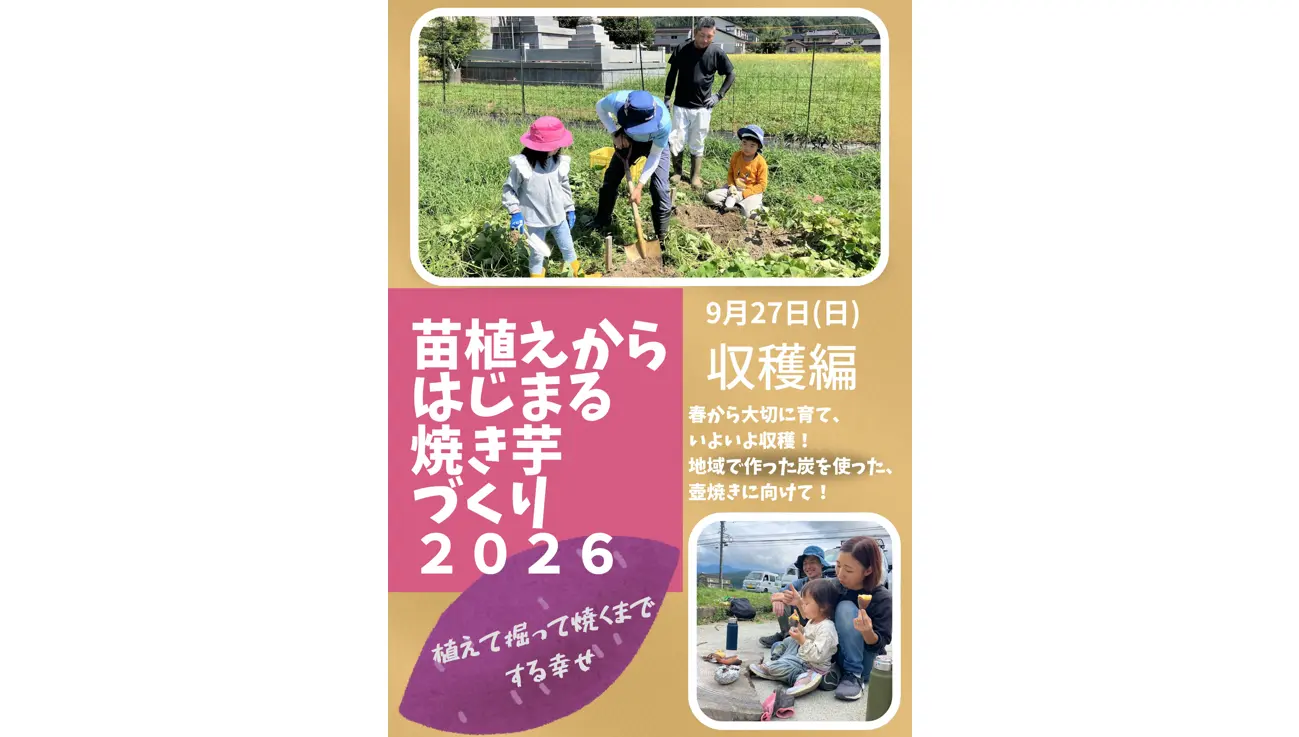 「苗植えからはじまる焼き芋づくり2026収穫編」-0