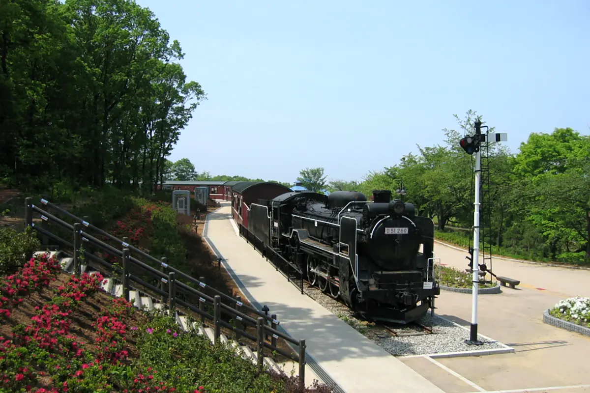 東福寺野自然公園-3