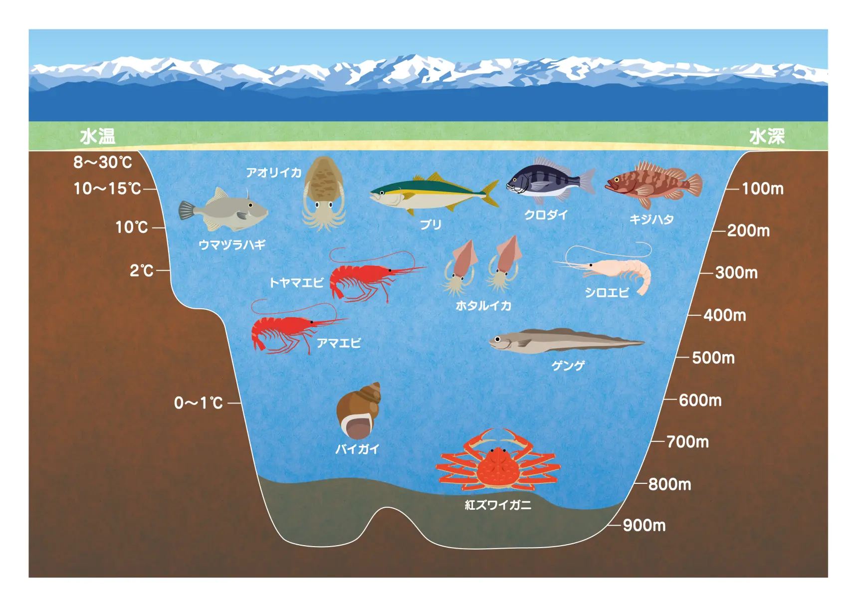 「天然の生け簀 (いけす)」と呼ばれる富山湾とは-0