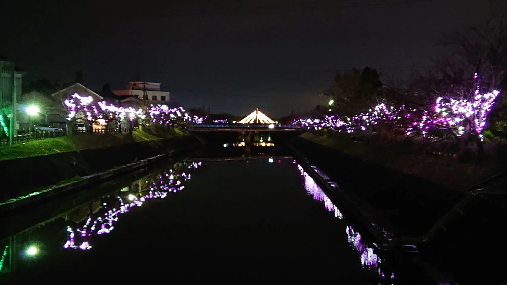 Twinkle Night in 射水（射水市）-1