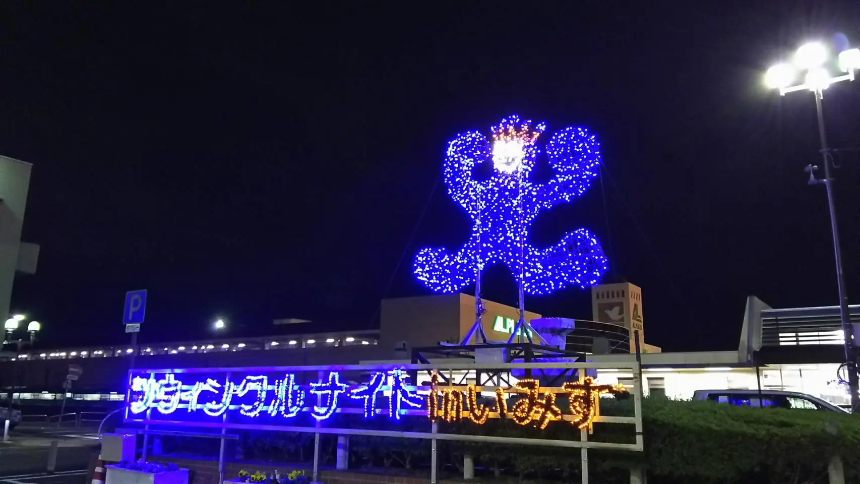 Twinkle Night in 射水（射水市）-0