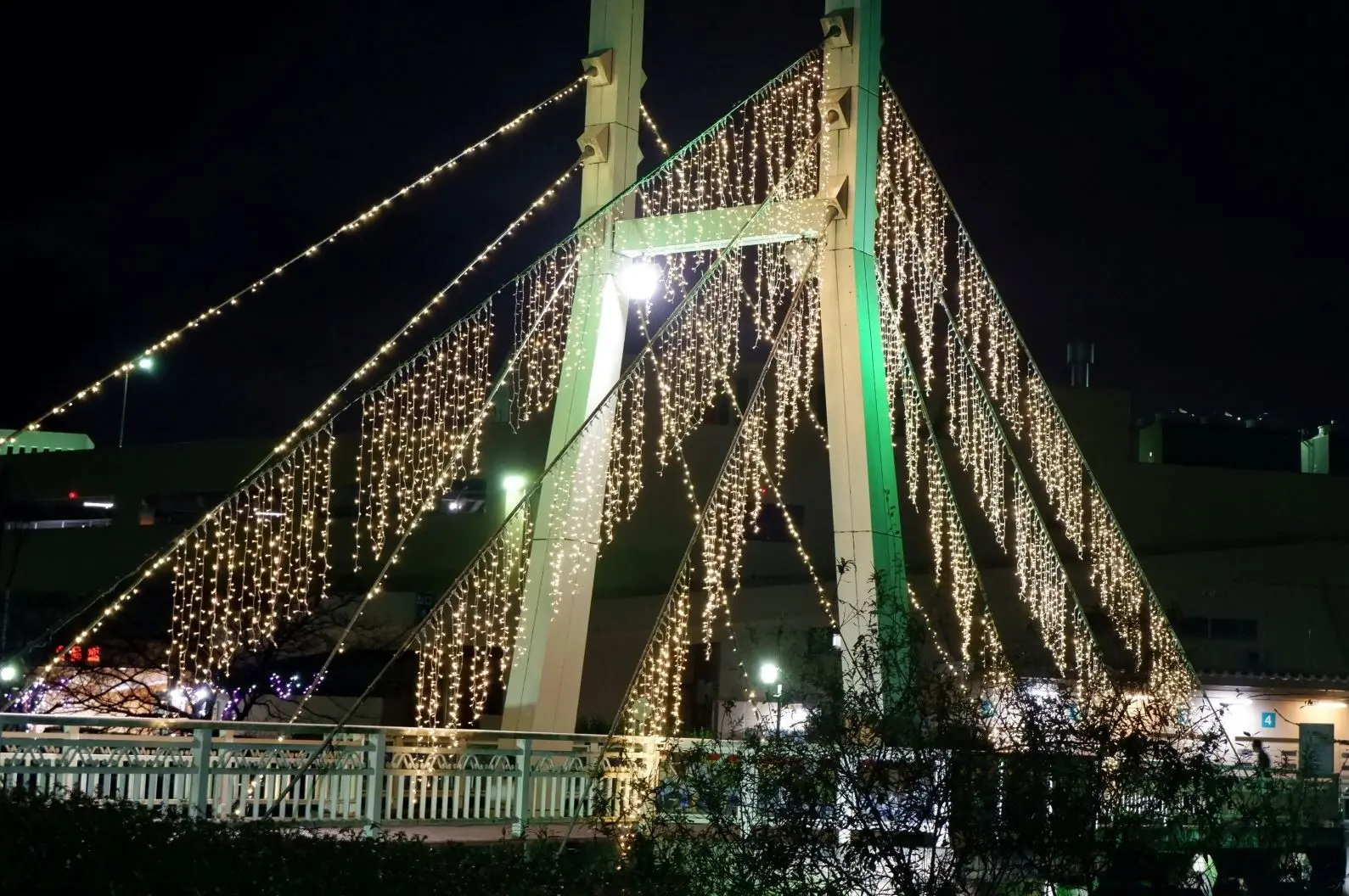 Twinkle Night in 射水（射水市）-2