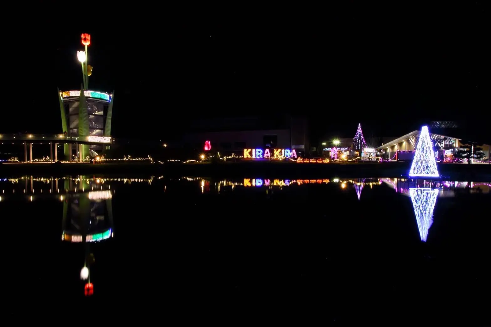 チューリップ公園KIRAKIRAミッション2025（砺波市）-7