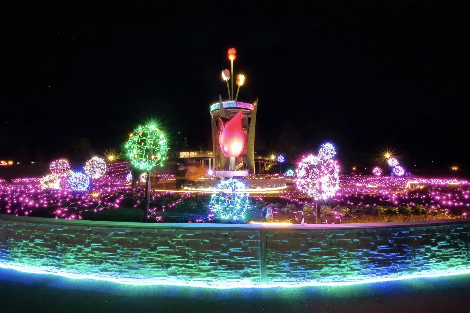 チューリップ公園KIRAKIRAミッション2025（砺波市）-5