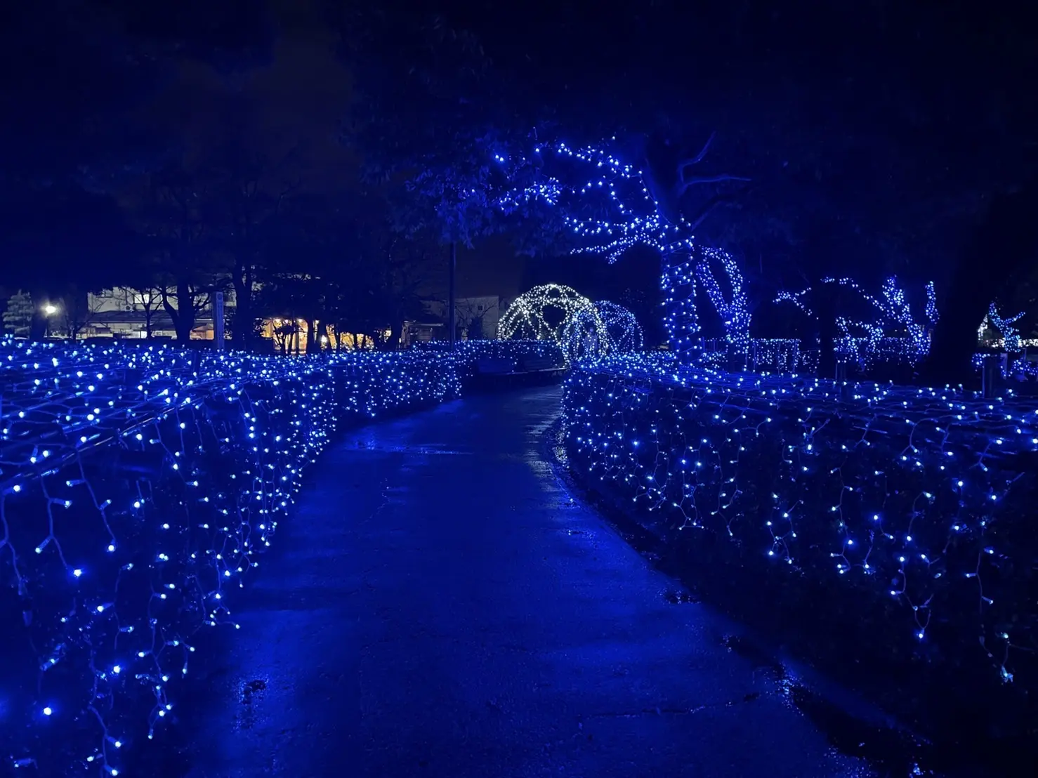 チューリップ公園KIRAKIRAミッション2025（砺波市）-3