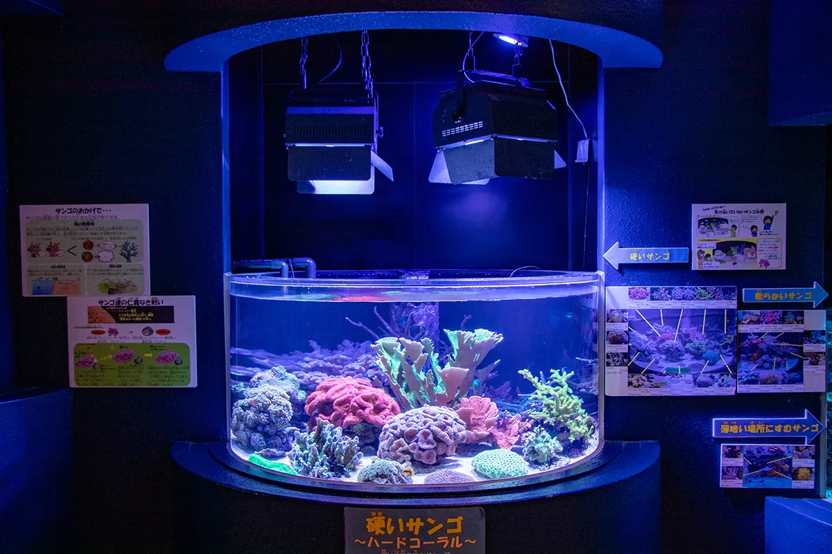 魚津水族館-4