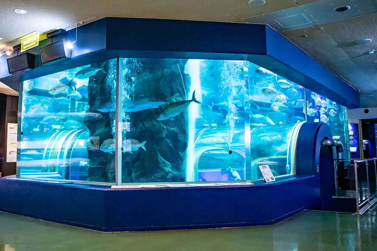 魚津水族館-3