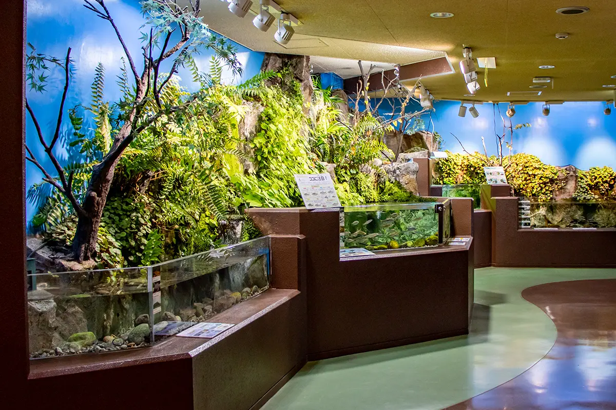 魚津水族館-2