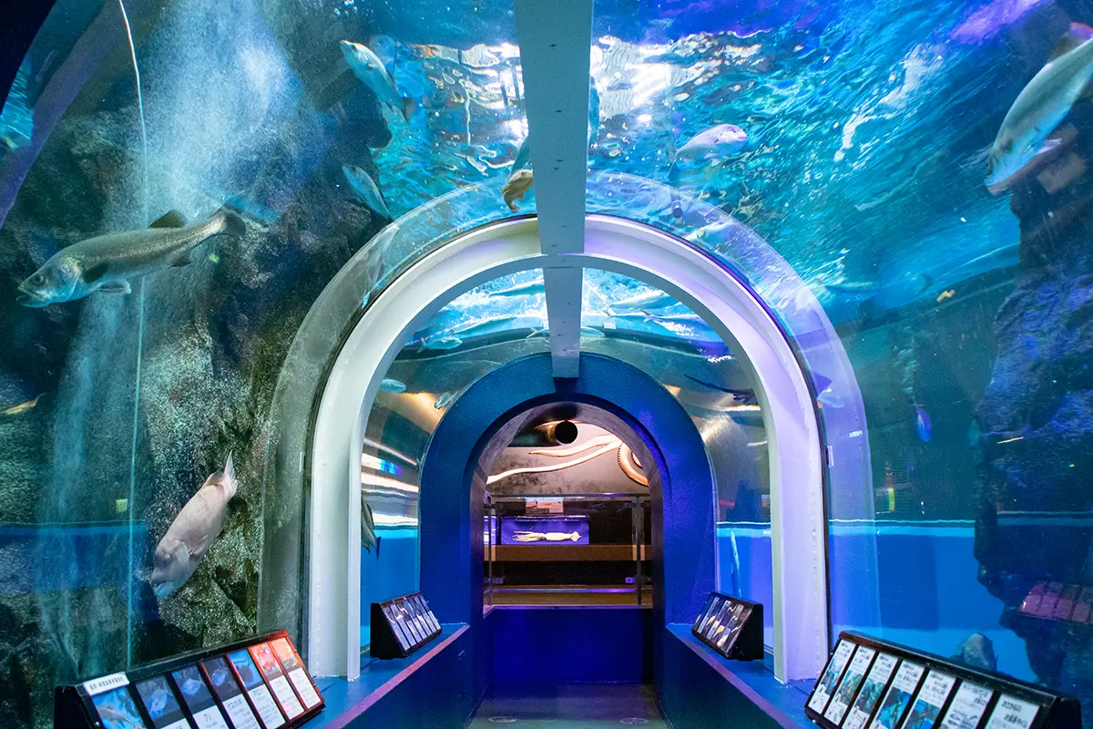 魚津水族館-0