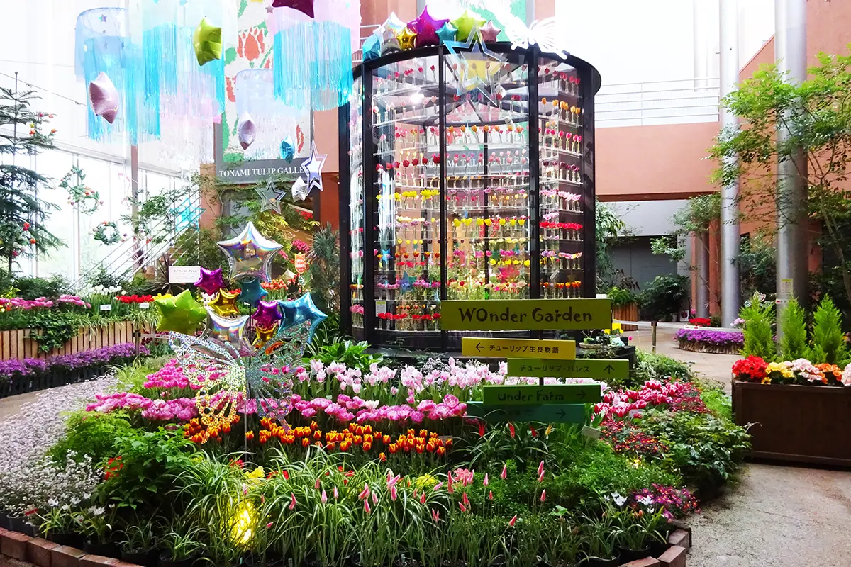 チューリップ四季彩館-3