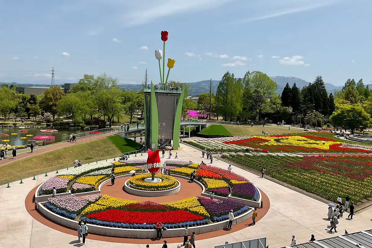 チューリップ四季彩館-2