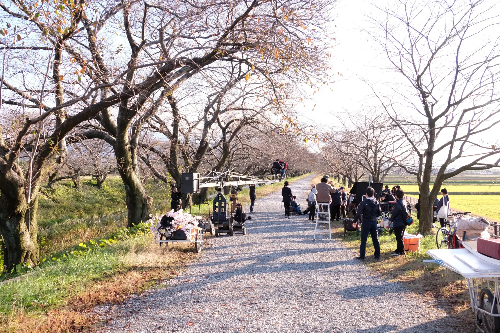 朝日町内のロケ地　-1