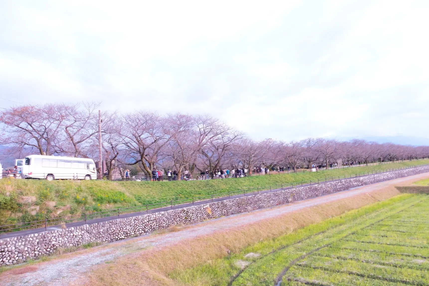 朝日町内のロケ地　-0