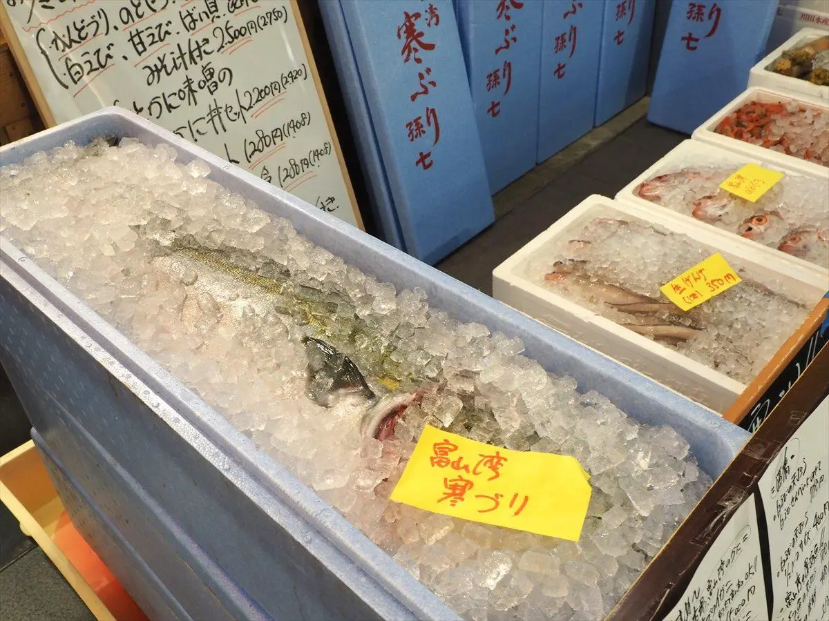 寒鰤魚-0