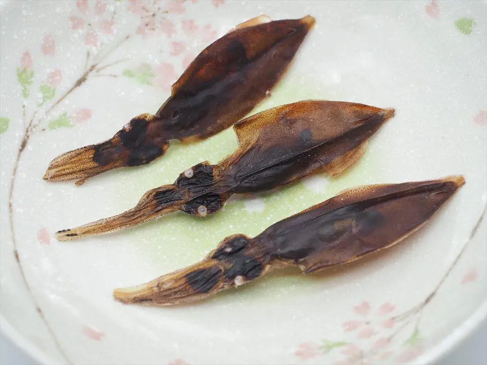 螢火魷-1