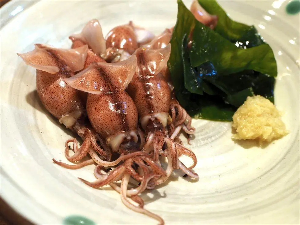 螢火魷-3