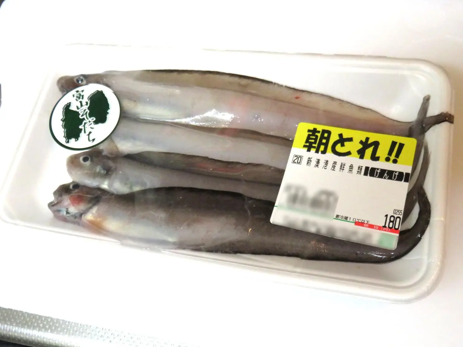 綿䲁-0