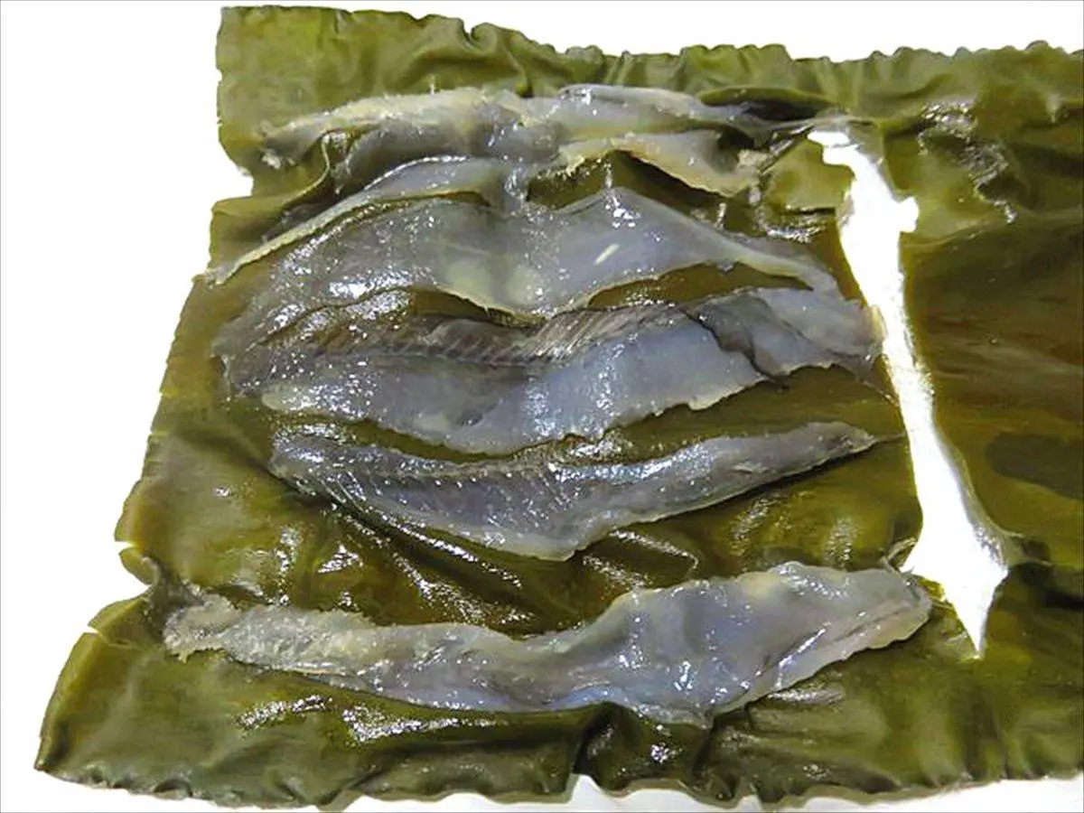 昆布漬-6