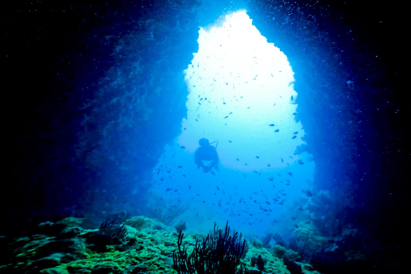 도야마의 해양생물을 가까이에서 볼 수 있는 스쿠버 다이빙-0