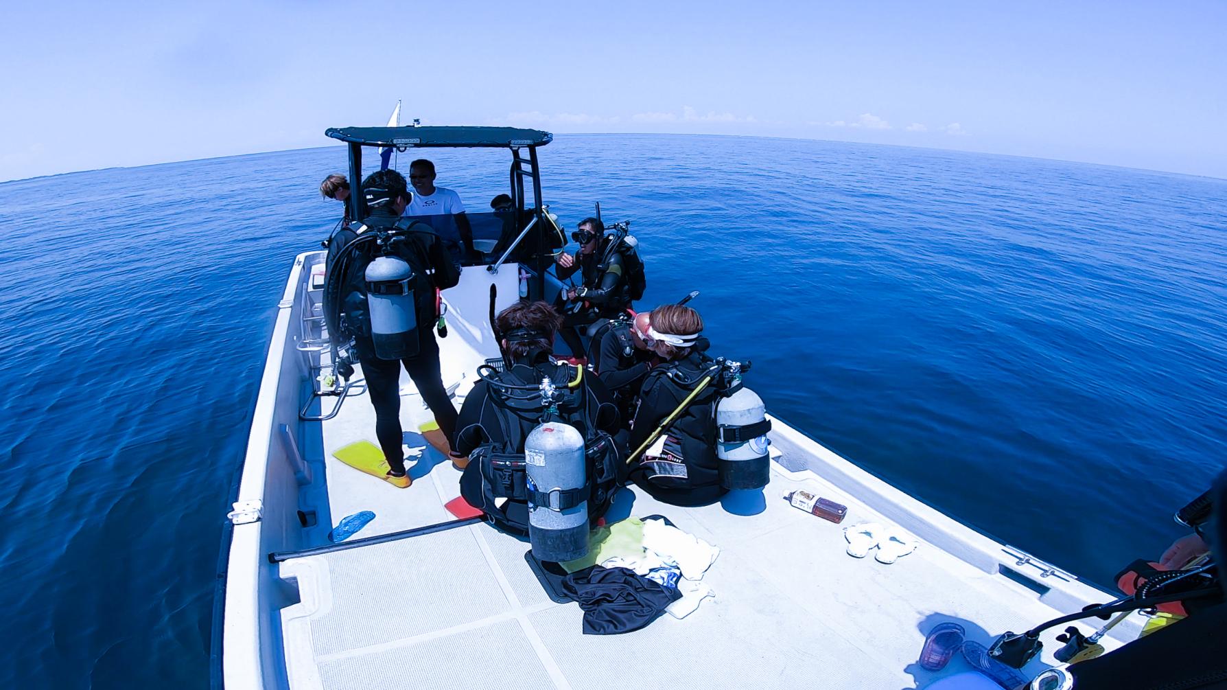 體驗水肺潛水，近距離觀察富山的海洋生物-1
