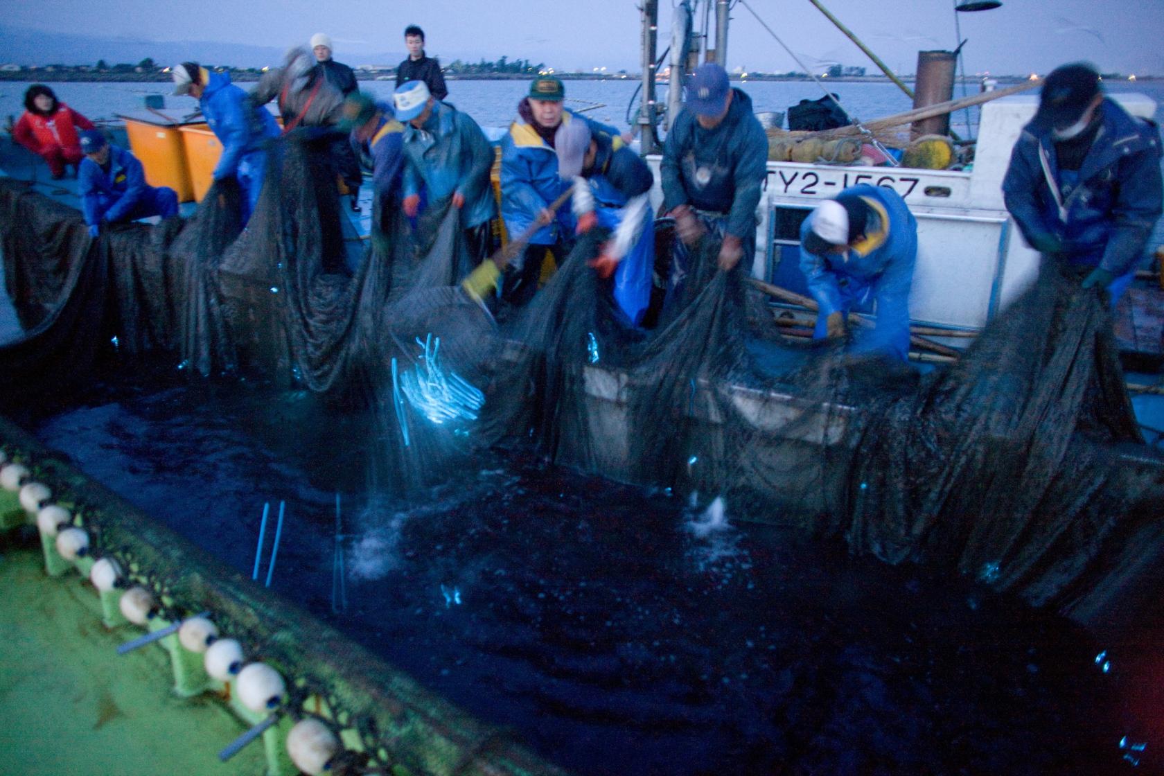 透過永續漁法保護海洋生物-2