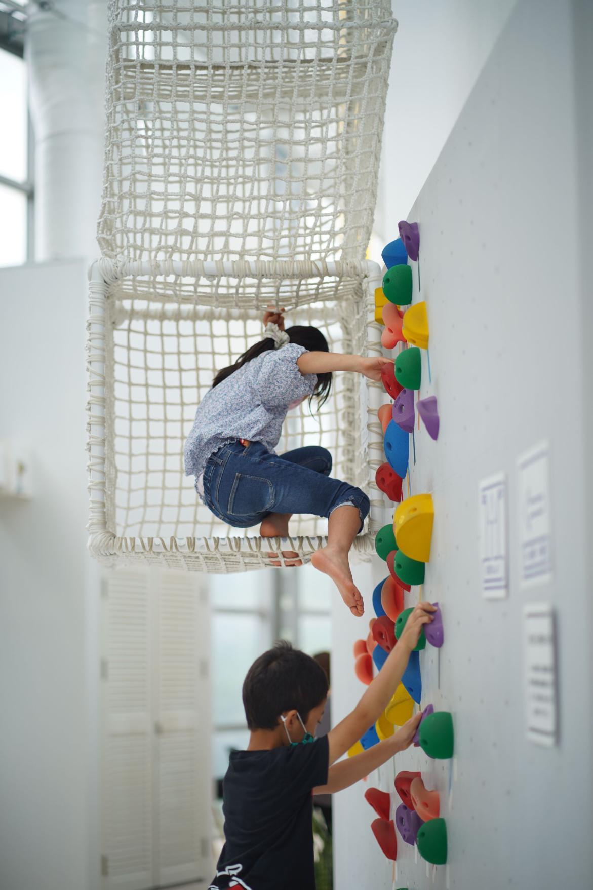 Bouldering Wall and Netted Playground-2
