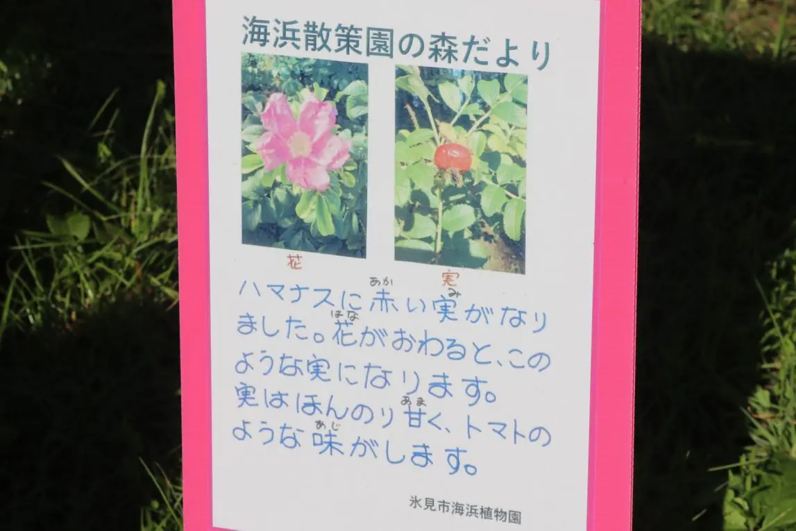 松田江濱-5