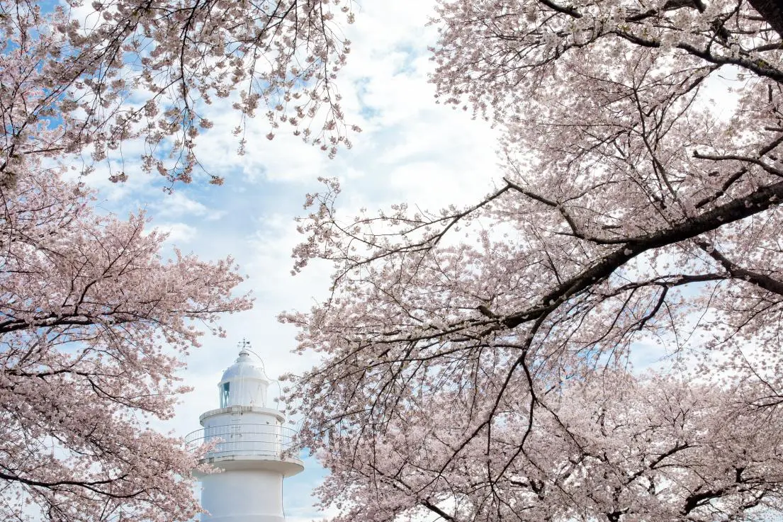 ประภาคารอิวาซากิโนะฮานะ เมืองทากาโอกะ-1
