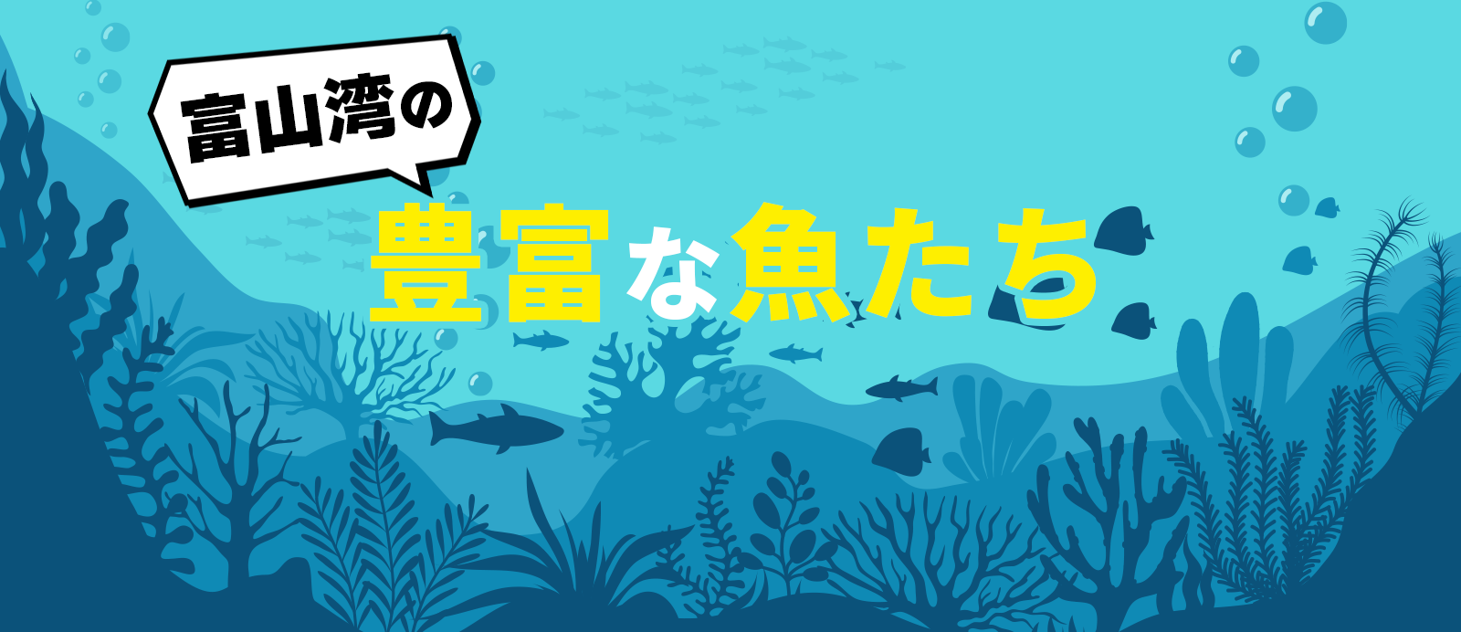 富山湾の豊富な魚たち-0