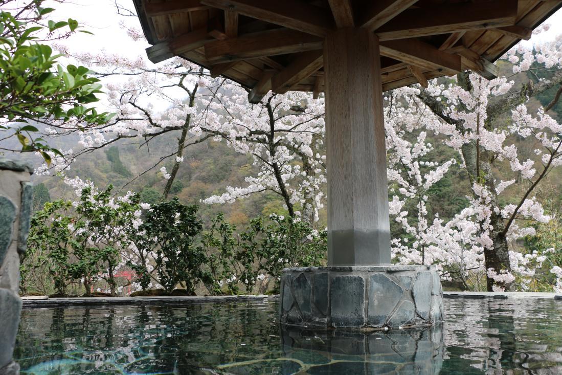Day-Trip Hot Spring: Hotel Kurobe-2