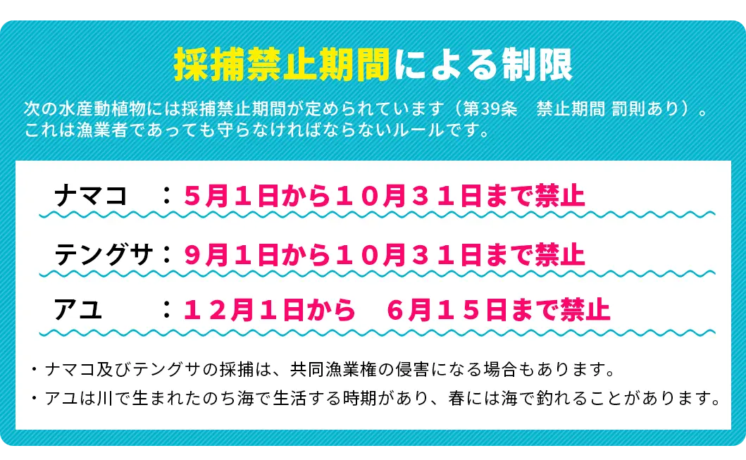 採捕禁止期間による制限-0