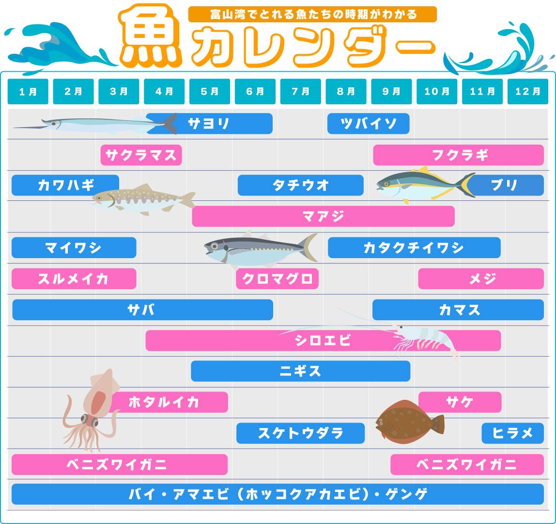富山湾でとれる魚カレンダー-0