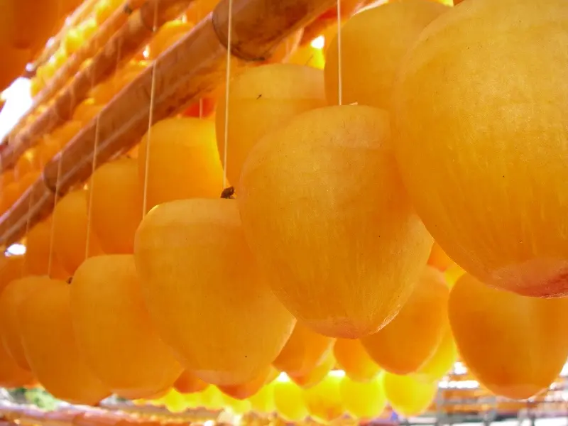 南砺市のお土産・特産品-4