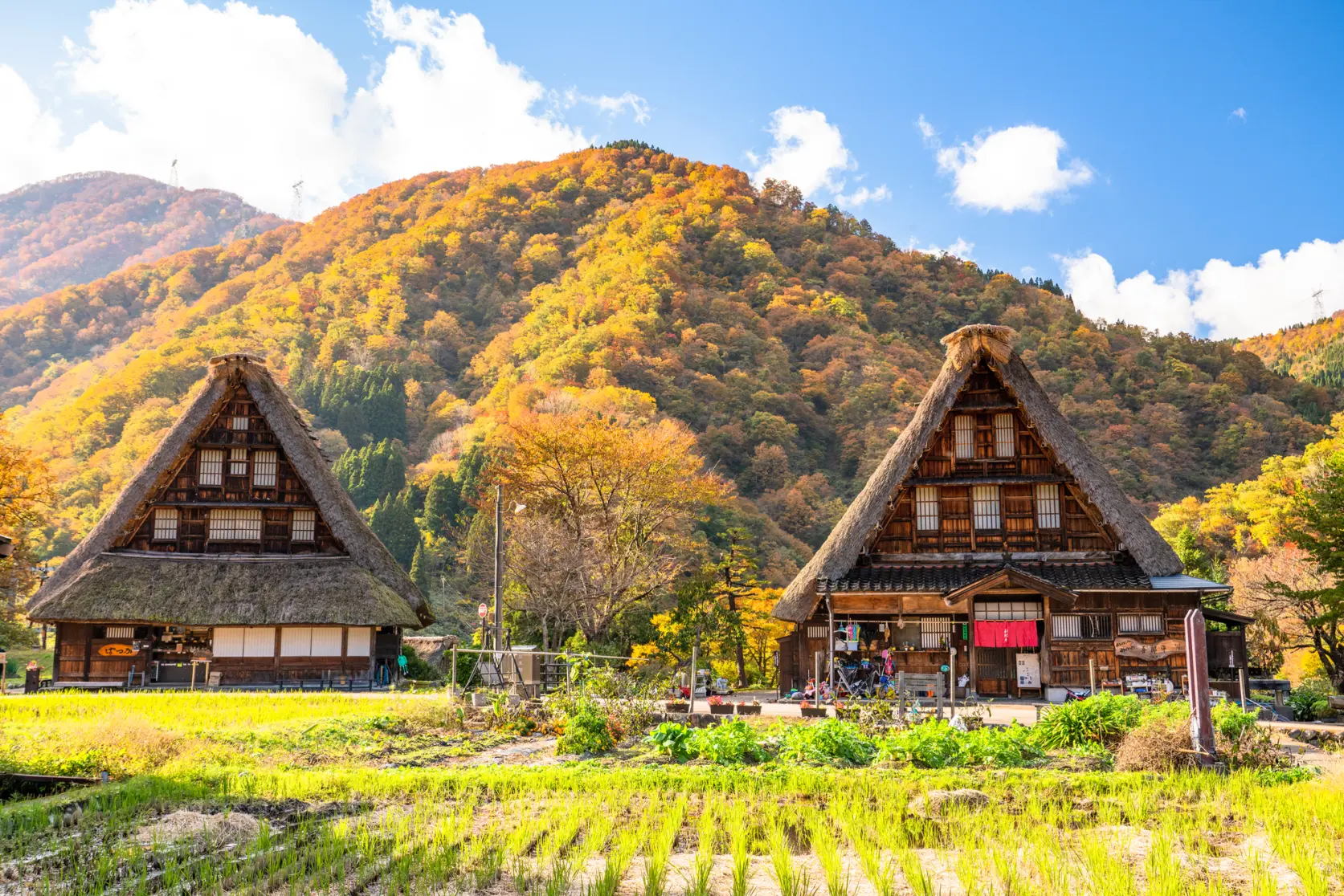 ＜建物＞　合掌造りってどんな家？-0