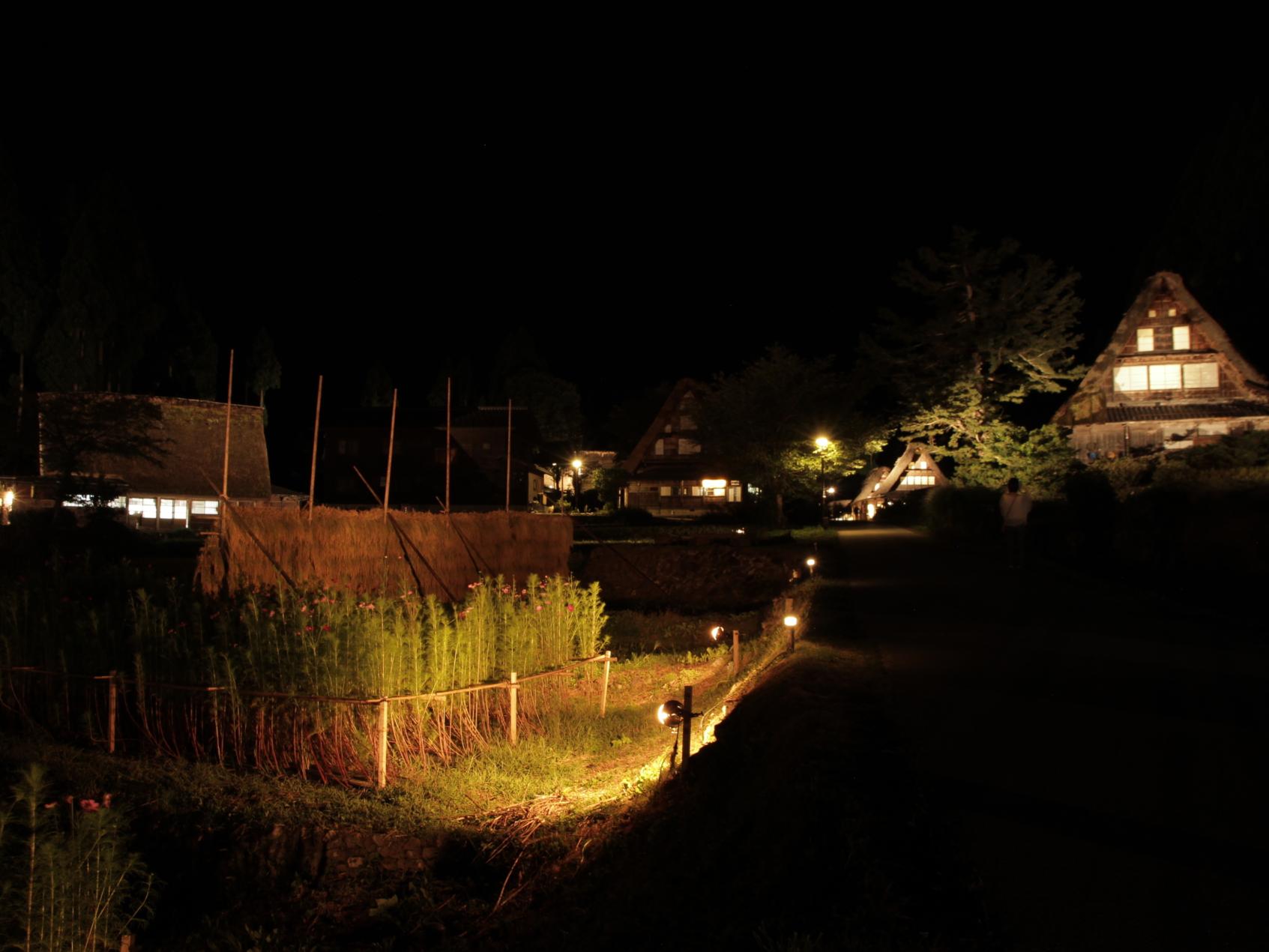 日本の原風景をライトアップ-1