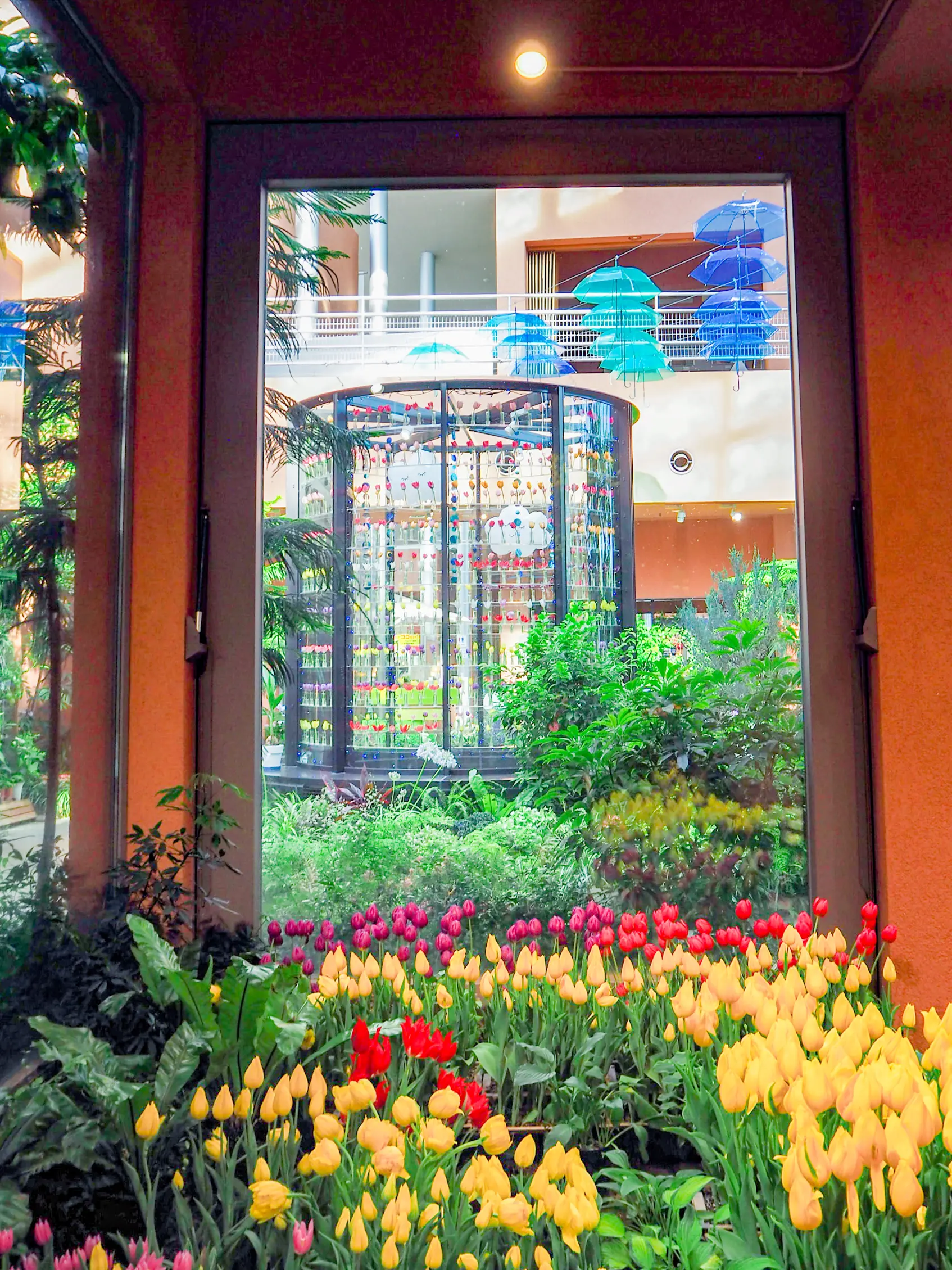 Tonami Tulip Gallery-0
