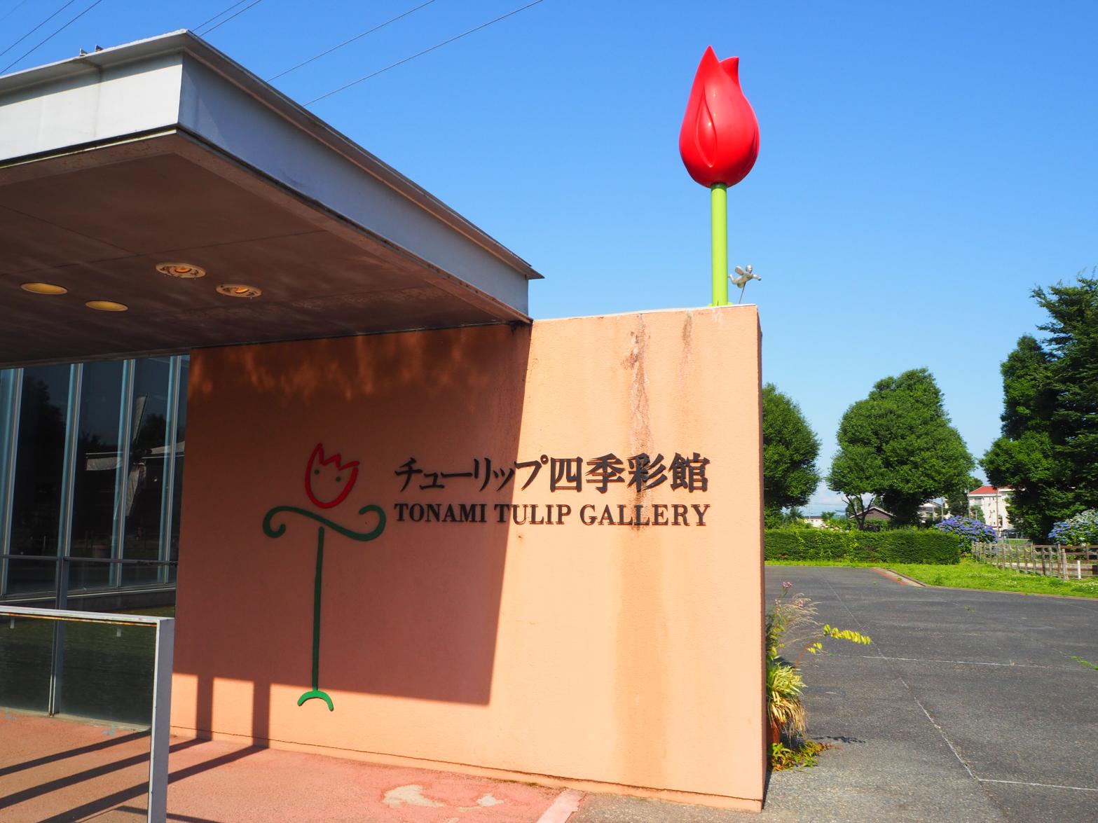 Tonami Tulip Gallery-3