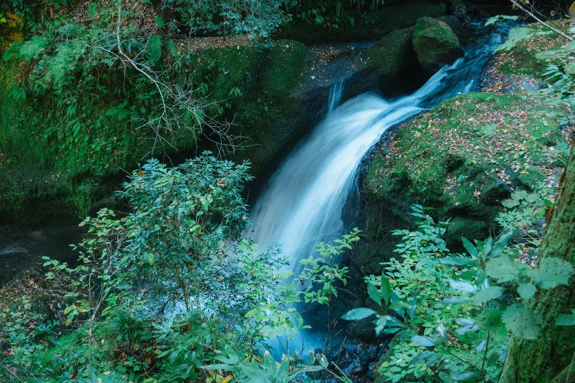Soak in Negative Ions at Sengankei-3