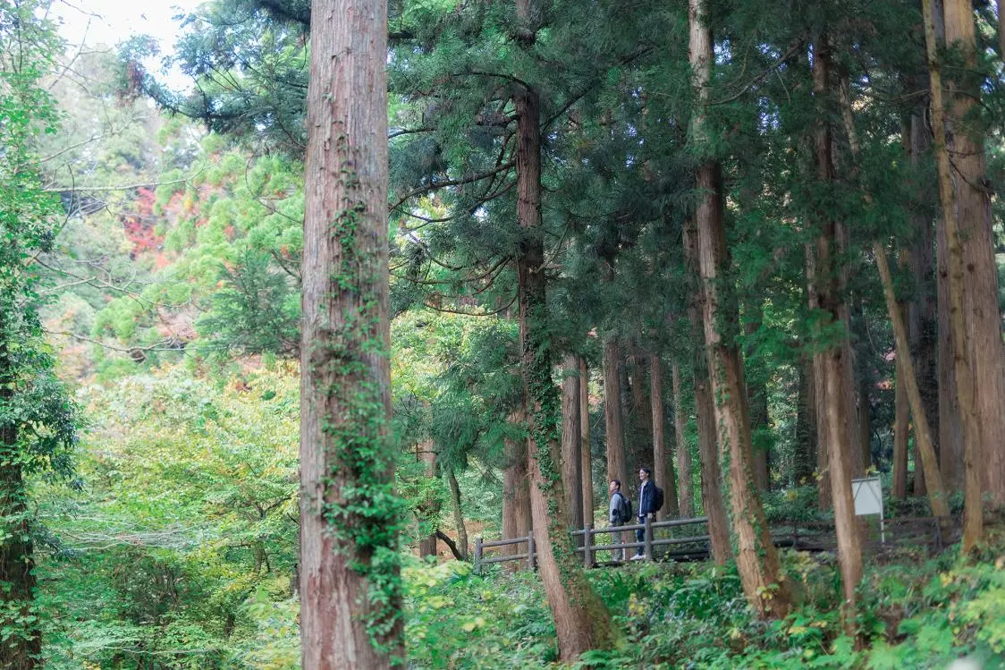 Soak in Negative Ions at Sengankei-1
