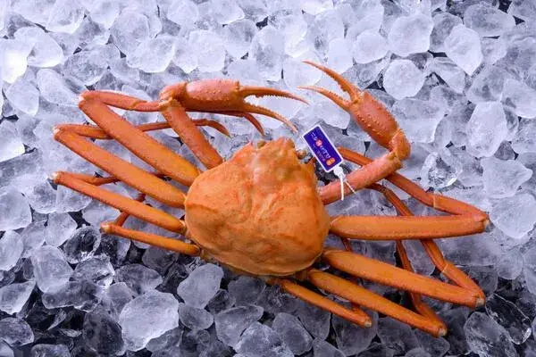富山のカニは一年中食べられる？-0